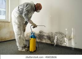 Why You Should Choose Our Mold Remediation Services in On Top Of The World Designated Place, FL